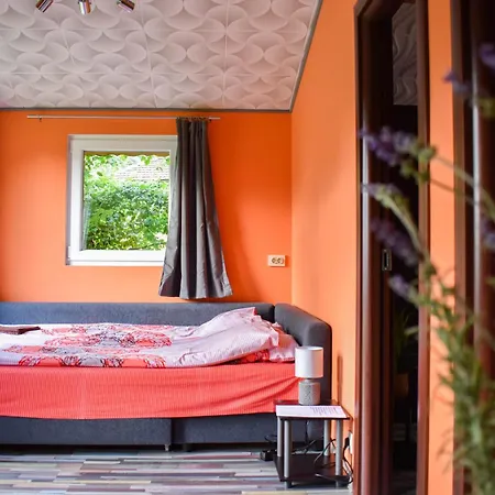 Lion Къща за гости