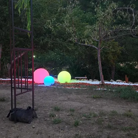 Lion 게스트하우스 *