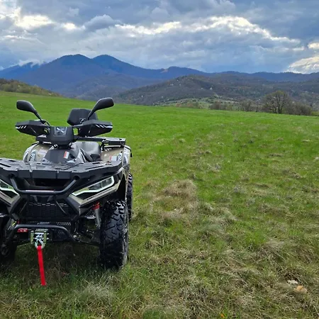 Lion 게스트하우스