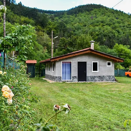 Lion 게스트하우스