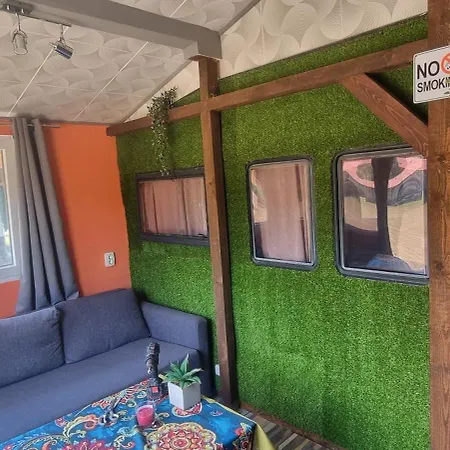 Къща за гости Lion