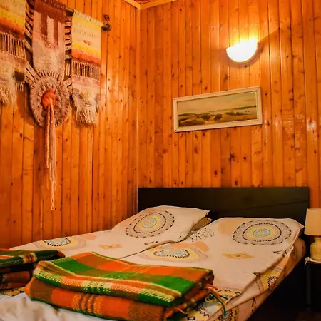 Lion 게스트하우스 *