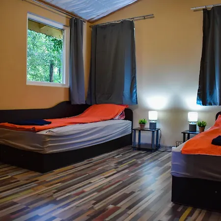 Lion 게스트하우스 *