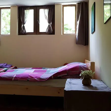 Lion 게스트하우스 Chuprene